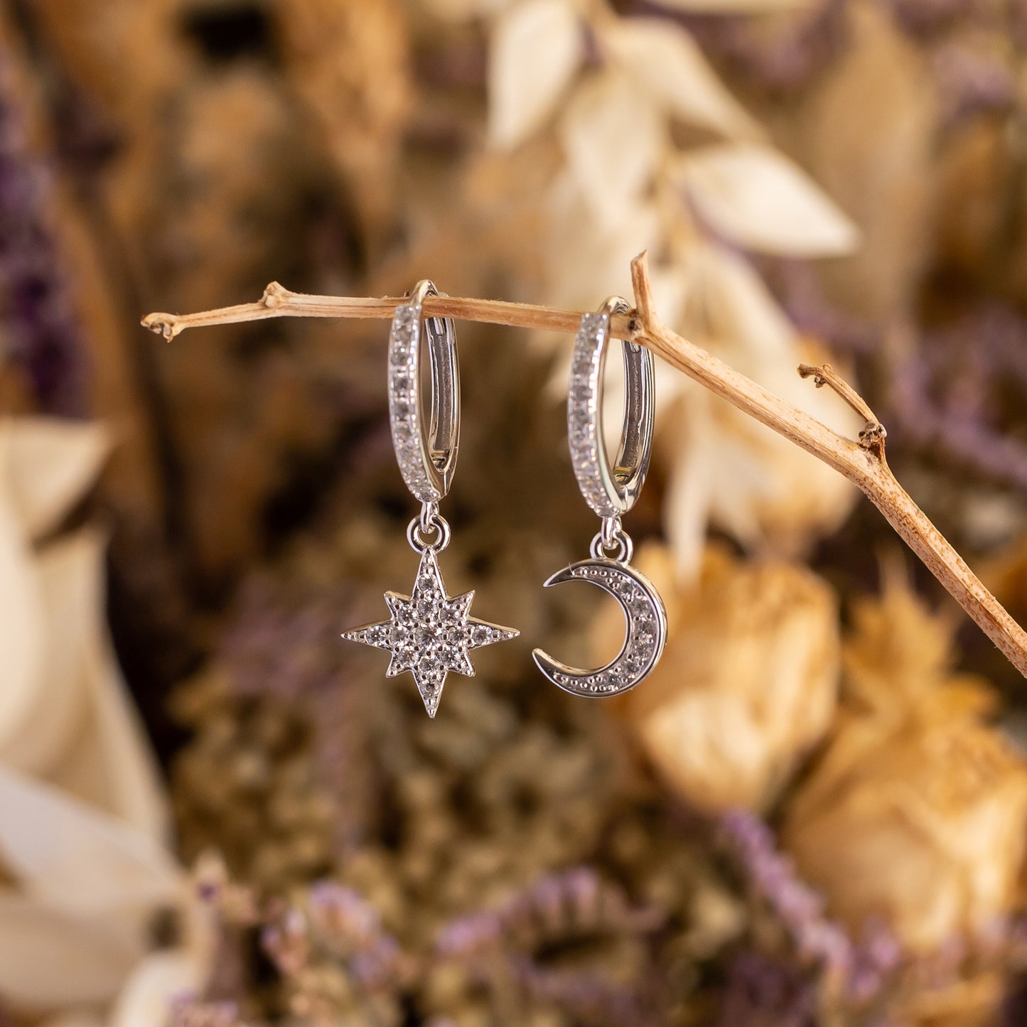 Pendientes de plata "Eclipse polar"