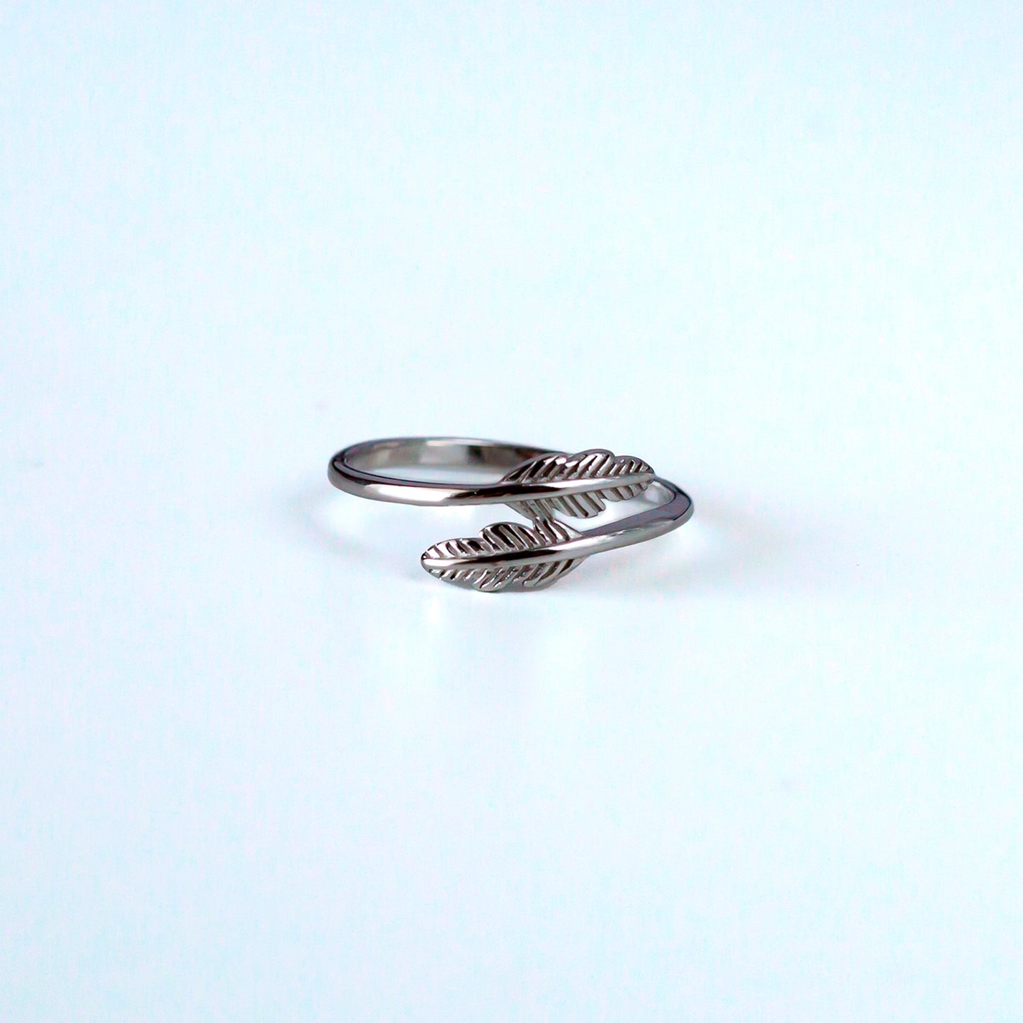 Anillo de plata "Helecho de plata"