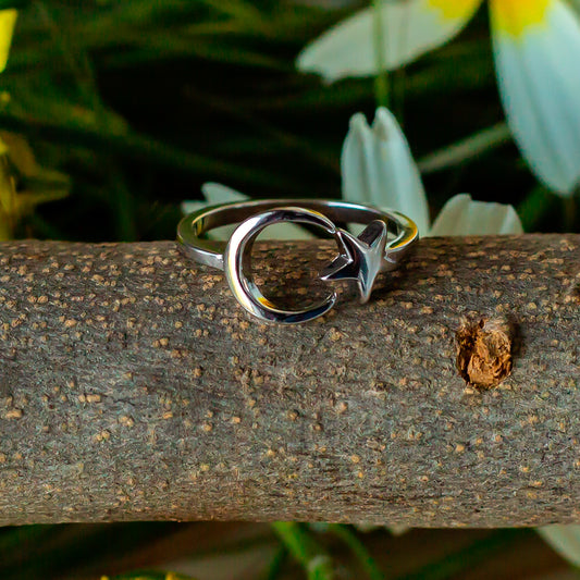 Anillo de plata "Moon & Star"